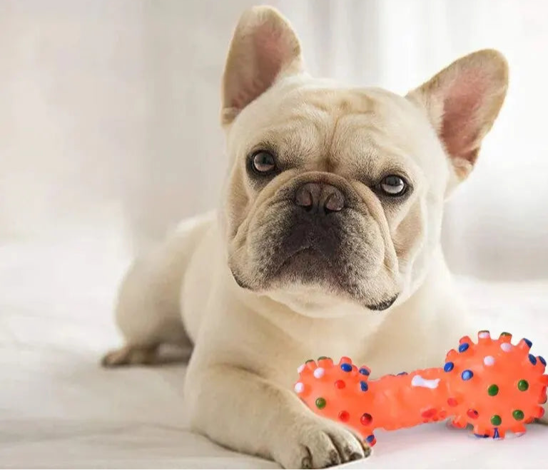 Clean and Deodorize Natural Rubber Dog Chew Toy