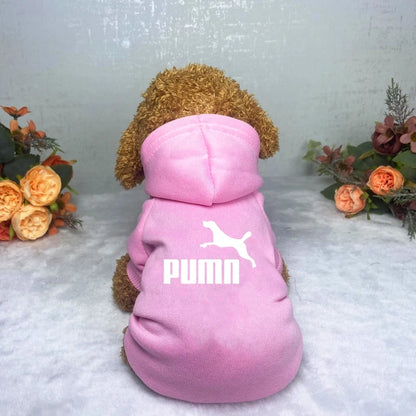 Dog clothes Pet clothes Popular fashion Hoodie Large, medium and small pet clothes Casual warm dog clothes - the hidden spot 