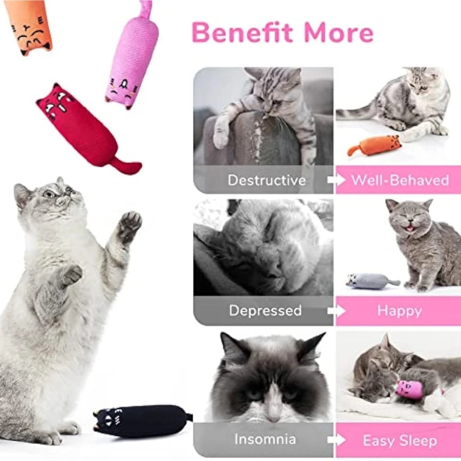 Catnip Plush Toy with Rustling Sound for Kittens - Adorable Teeth Grinding Accessory for Pets - the hidden spot 