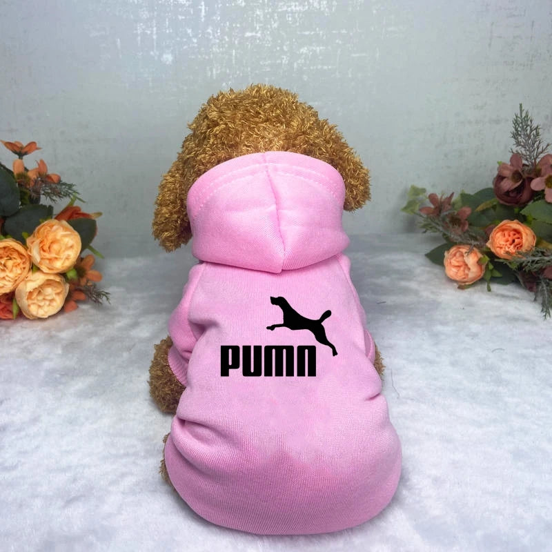 Dog clothes Pet clothes Popular fashion Hoodie Large, medium and small pet clothes Casual warm dog clothes - the hidden spot 