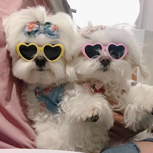 New love pet glasses dog cat cute creative fashion sunglasses sunglasses with jewelry pet beauty decoration supplies - the hidden spot 